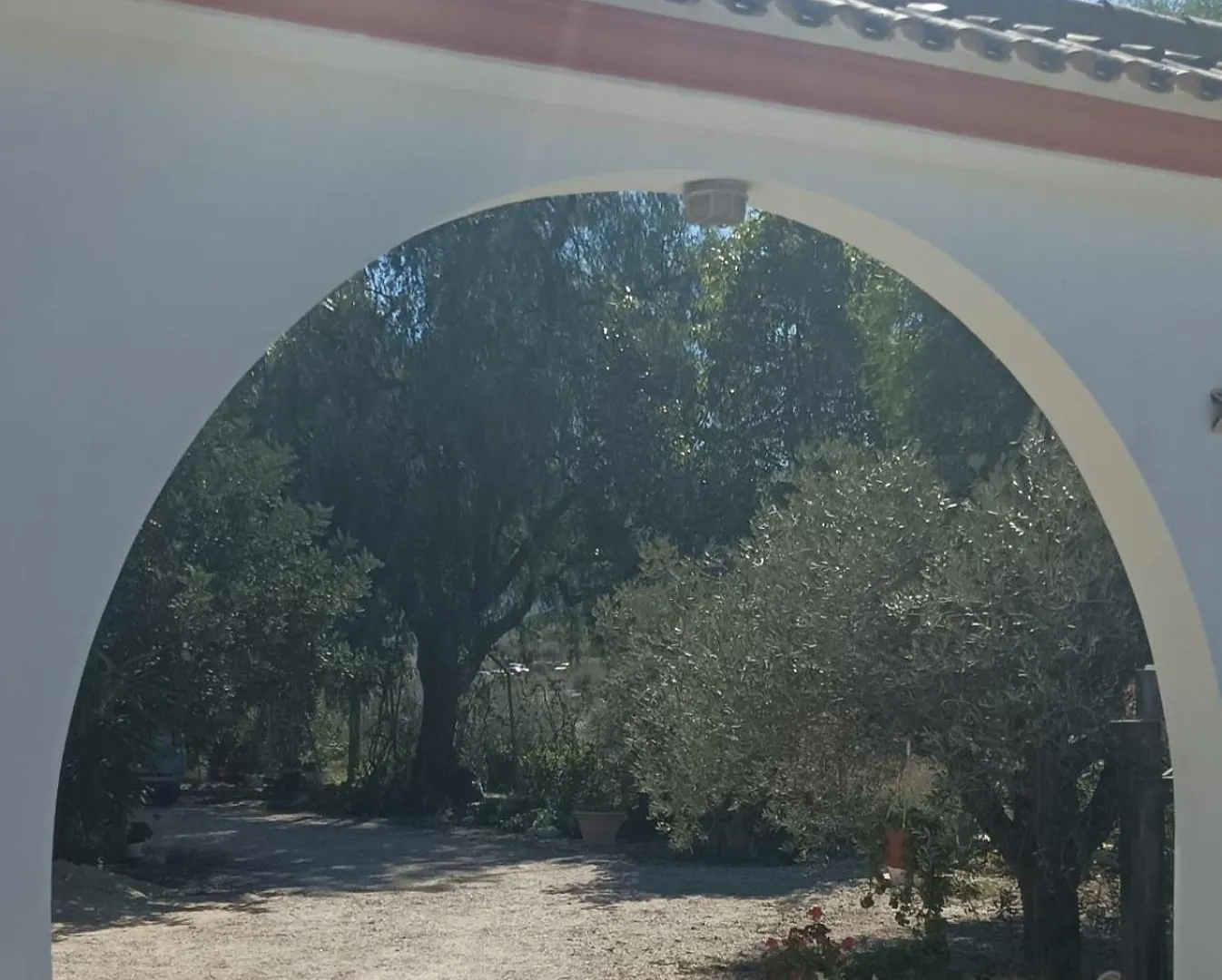 Villa Oasis Los Gallardos 0*,