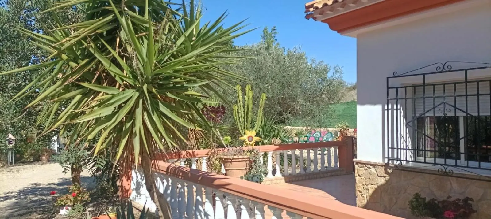 Villa Oasis Los Gallardos